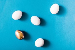 Zdjęcie przedstawiające pięć jajek, z których jedno zdecydowanie wyróżnia się kolorem – może to zasługa strategii komunikacji?