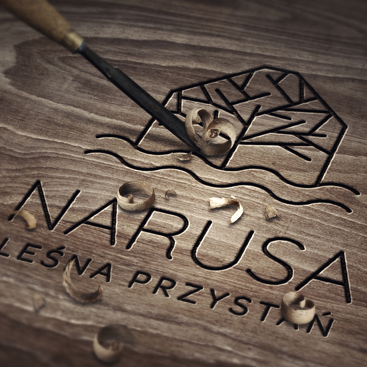 Logo marki Narusa Leśna Przystań, które przygotowała agencja marketingowa z Gliwic, zwizualizowane na drewnie.